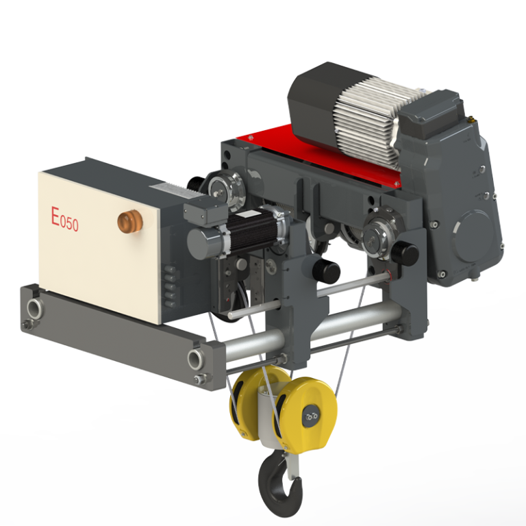 hoist control system