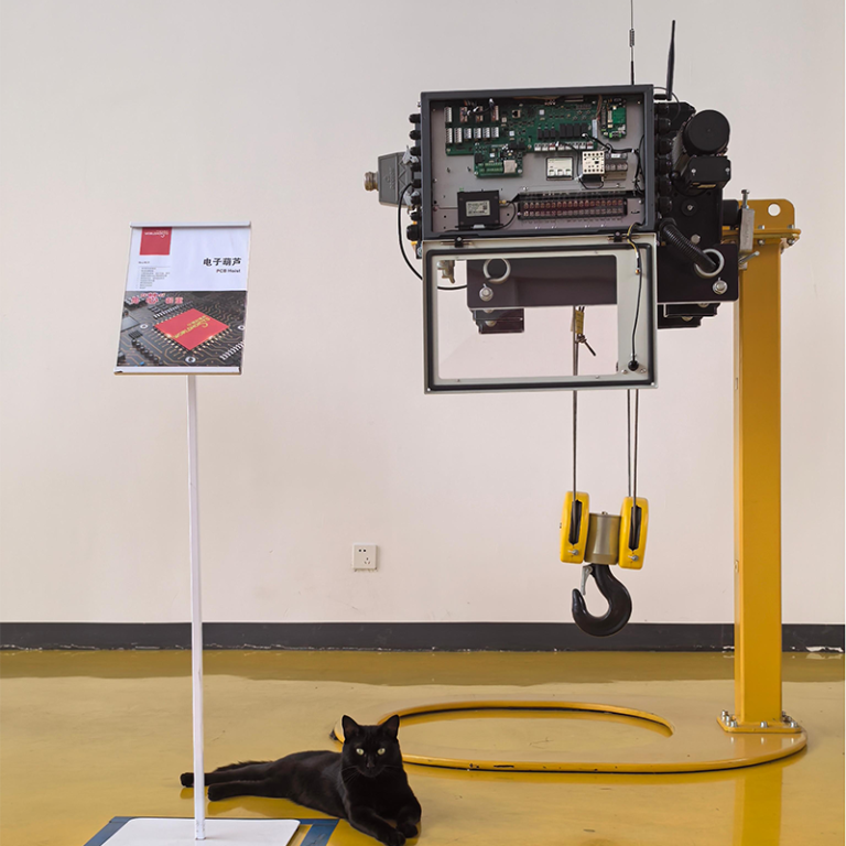 hoist control system