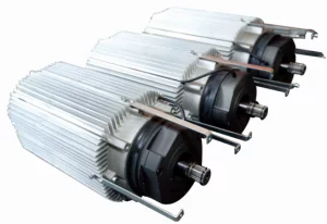 electric hoist motor