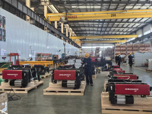 electric wire rope hoists